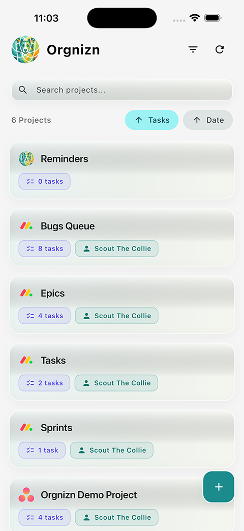 Orgnizn app — light mode project list